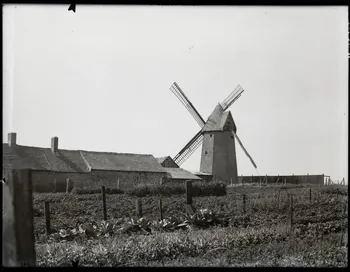 Lallement photographie Collection Lallement Nord-Pas-de-Calais, France 1921/6/17 Ph.1966.102.309  Photo