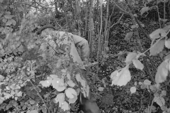 Claudie Marcel-Dubois photographie MNATP. Recherches coopératives sur programme sur le Châtillonnais (1966-1968). Mission d'ethnomusicologie 3 B. Claudie Marcel-Dubois et Maguy Andral. Bourgogne, France 1967/6/2 Ph.1967.88.47 Photo