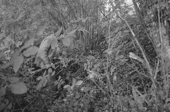 Claudie Marcel-Dubois photographie MNATP. Recherches coopératives sur programme sur le Châtillonnais (1966-1968). Mission d'ethnomusicologie 3 B. Claudie Marcel-Dubois et Maguy Andral. Bourgogne, France 1967/6/2 Ph.1967.88.48 Photo