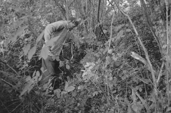 Claudie Marcel-Dubois photographie MNATP. Recherches coopératives sur programme sur le Châtillonnais (1966-1968). Mission d'ethnomusicologie 3 B. Claudie Marcel-Dubois et Maguy Andral. Bourgogne, France 1967/6/2 Ph.1967.88.49 Photo