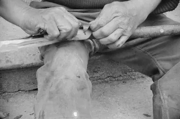 Jean Raisky photographie MNATP. Recherches coopératives sur programme sur le Châtillonnais (1966-1968). Mission d'ethnomusicologie 3 B. Claudie Marcel-Dubois et Maguy Andral. Bourgogne, France 1967/6/1 Ph.1967.89.6  Photo