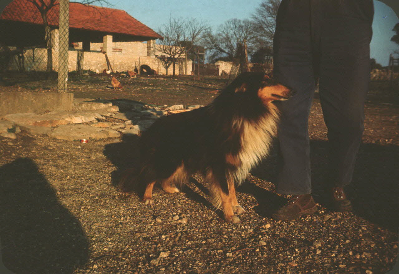 Adrienne Durand-Tullou photographie MNATP. Recherches coopératives sur programme sur l'Aubrac (1964-1966) Languedoc-Roussillon, France 1968 Ph.1968.78.44 Photo