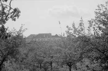 Jean Cuisenier photographie Enquête conduite par Jean Cuisenier en Autriche (mai 1972) Zieselberg, Autriche 1972/5/11 Ph.1972.134.14 Photo