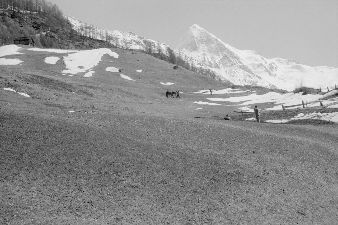 Jean Cuisenier photographie Enquête conduite par Jean Cuisenier en Suisse (du 25 mars au 8 avril 1972) Canton du Valais, Suisse 1972/4/6 Ph.1972.97.1 Photo