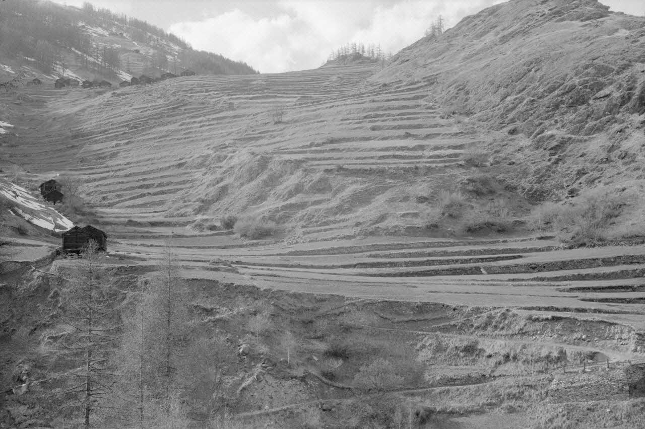 Jean Cuisenier photographie Enquête conduite par Jean Cuisenier en Suisse (du 25 mars au 8 avril 1972) Canton du Valais, Suisse 1972/4/2 Ph.1972.97.104 Photo