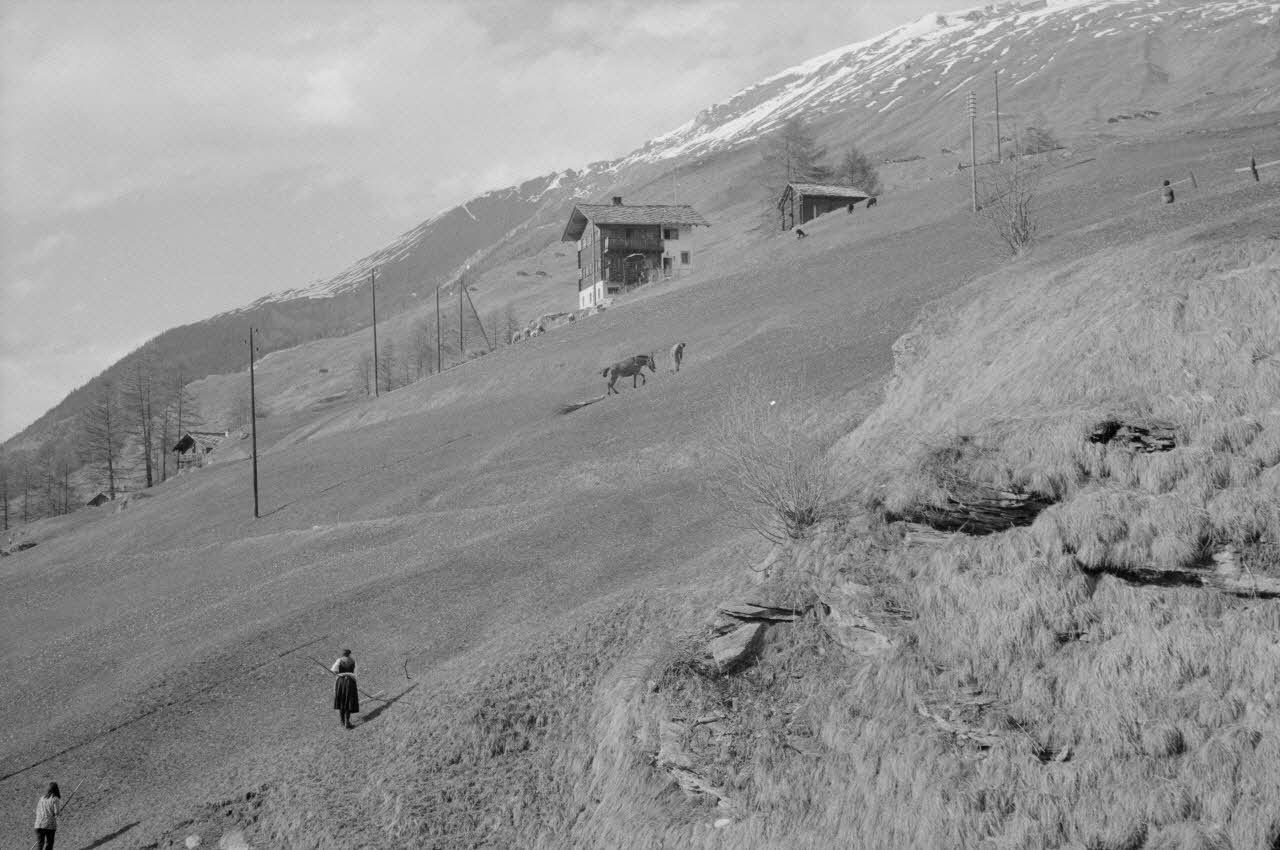 Jean Cuisenier photographie Enquête conduite par Jean Cuisenier en Suisse (du 25 mars au 8 avril 1972) Canton du Valais, Suisse 1972/4/6 Ph.1972.97.79 Photo