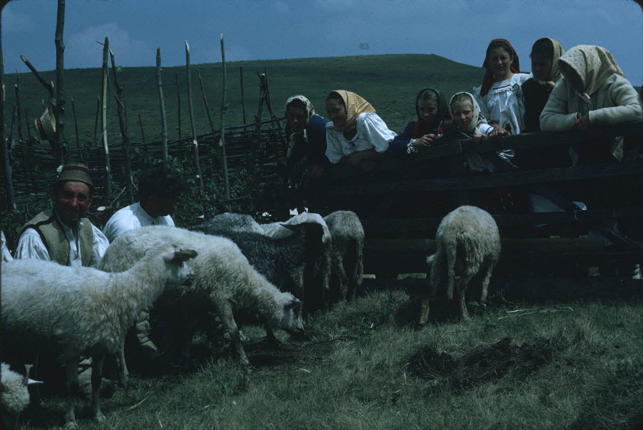 Jean Cuisenier photographie Enquête conduite par Jean Cuisenier en Roumanie (mai 1973) Roumanie 1973/5/1 Ph.1974.129.100 Photo