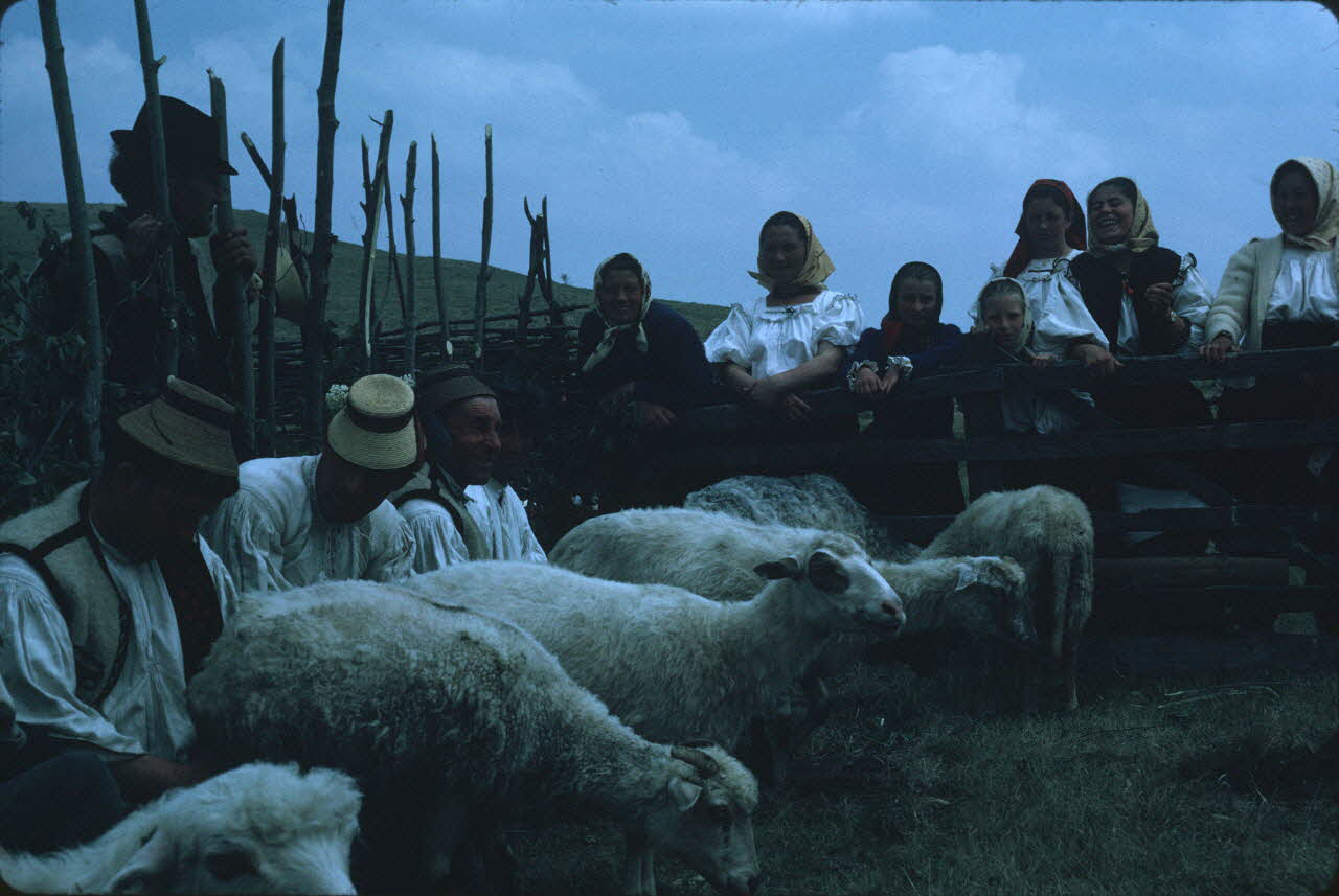 Jean Cuisenier photographie Enquête conduite par Jean Cuisenier en Roumanie (mai 1973) Roumanie 1973/5/1 Ph.1974.129.101 Photo