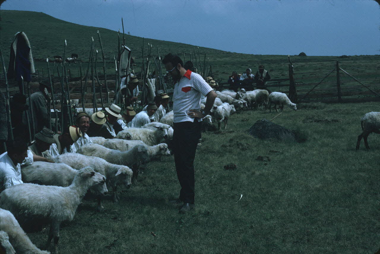 Jean Cuisenier photographie Enquête conduite par Jean Cuisenier en Roumanie (mai 1973) Roumanie 1973/5/1 Ph.1974.129.136 Photo