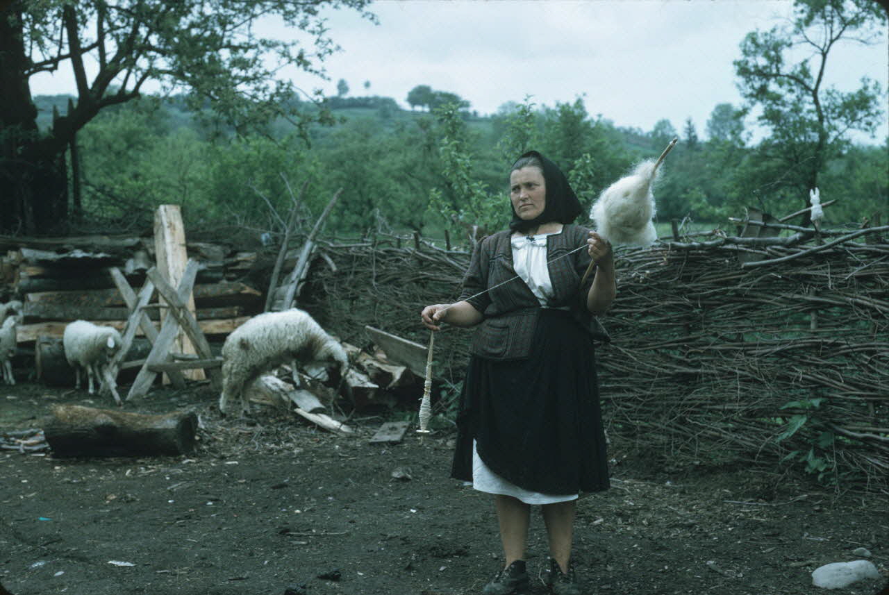 Jean Cuisenier photographie Enquête conduite par Jean Cuisenier en Roumanie (mai 1973) Roumanie 1973/5/1 Ph.1974.129.156 Photo