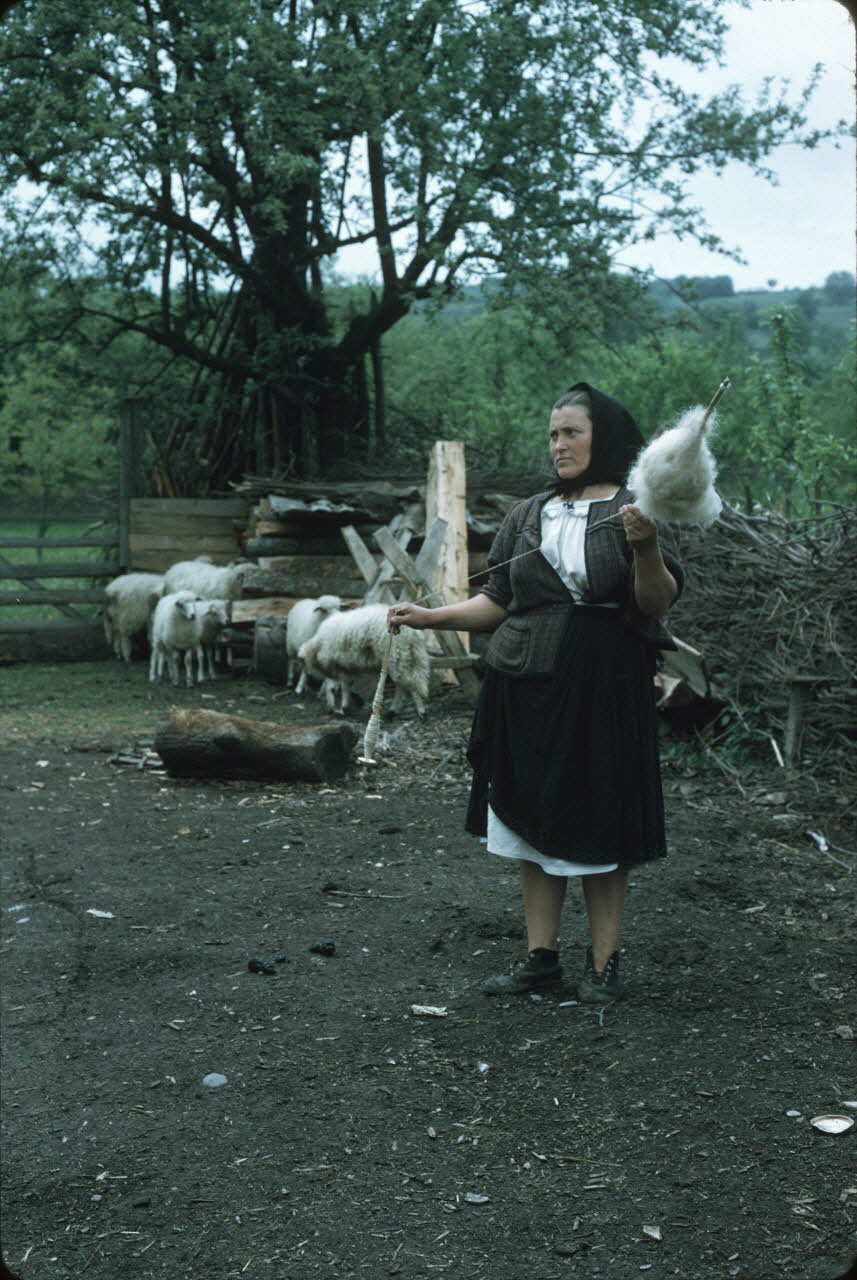 Jean Cuisenier photographie Enquête conduite par Jean Cuisenier en Roumanie (mai 1973) Roumanie 1973/5/1 Ph.1974.129.157 Photo Mucem / Jean Cuisenier