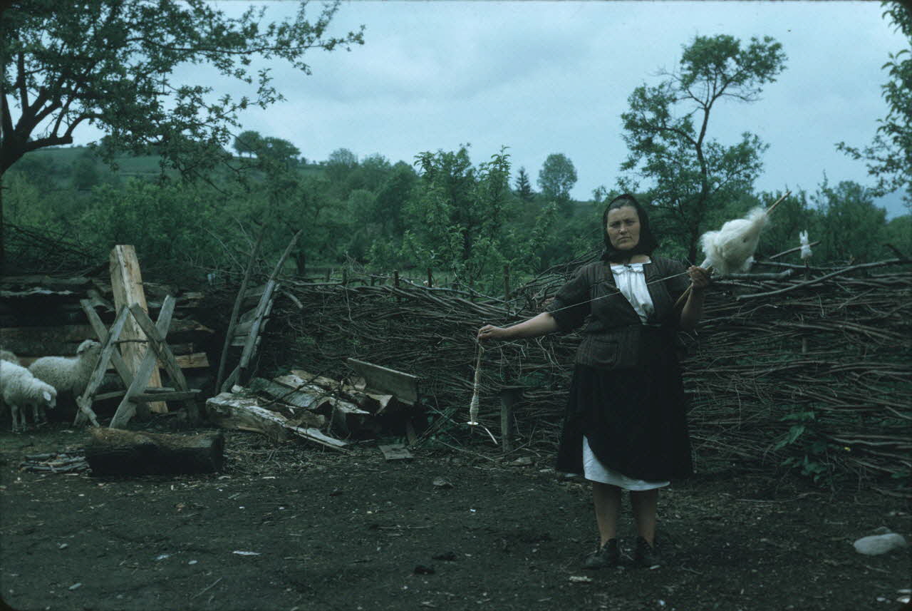 Jean Cuisenier photographie Enquête conduite par Jean Cuisenier en Roumanie (mai 1973) Roumanie 1973/5/1 Ph.1974.129.158 Photo