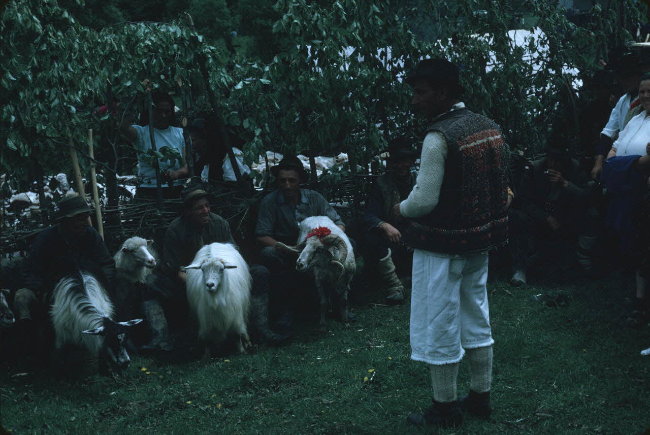 Jean Cuisenier photographie Enquête conduite par Jean Cuisenier en Roumanie (mai 1973) Roumanie 1973/5/1 Ph.1974.129.45 Photo