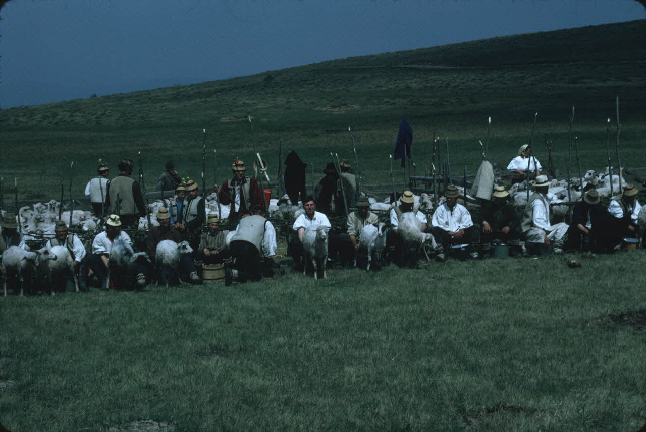 Jean Cuisenier photographie Enquête conduite par Jean Cuisenier en Roumanie (mai 1973) Roumanie 1973/5/1 Ph.1974.129.91 Photo