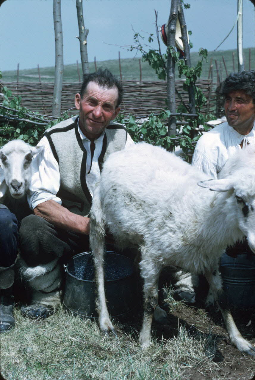 Jean Cuisenier photographie Enquête conduite par Jean Cuisenier en Roumanie (mai 1973) Roumanie 1973/5/1 Ph.1974.129.92 Photo