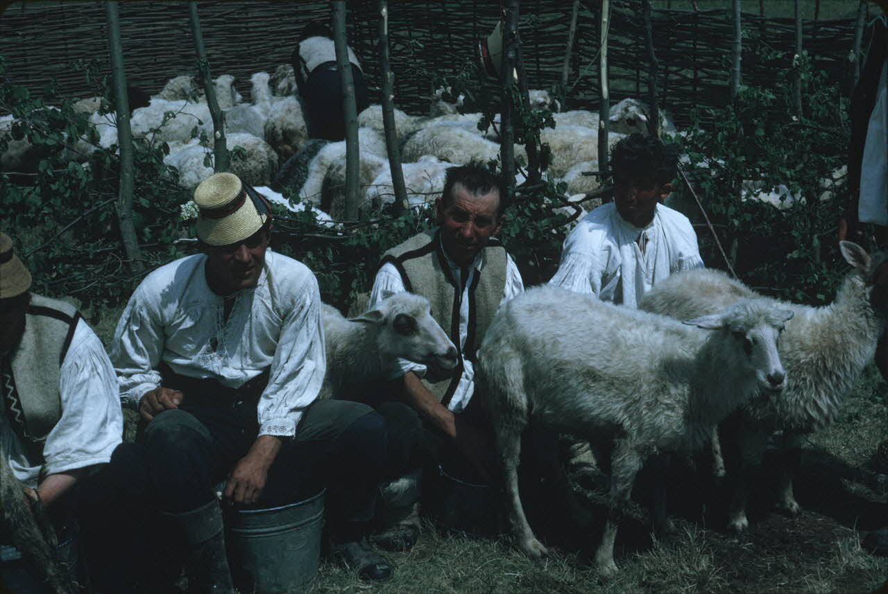 Jean Cuisenier photographie Enquête conduite par Jean Cuisenier en Roumanie (mai 1973) Roumanie 1973/5/1 Ph.1974.129.93 Photo