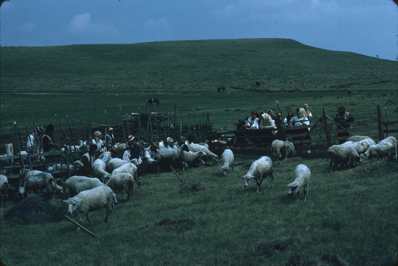 Jean Cuisenier photographie Enquête conduite par Jean Cuisenier en Roumanie (mai 1973) Roumanie 1973/5/1 Ph.1974.129.97 Photo