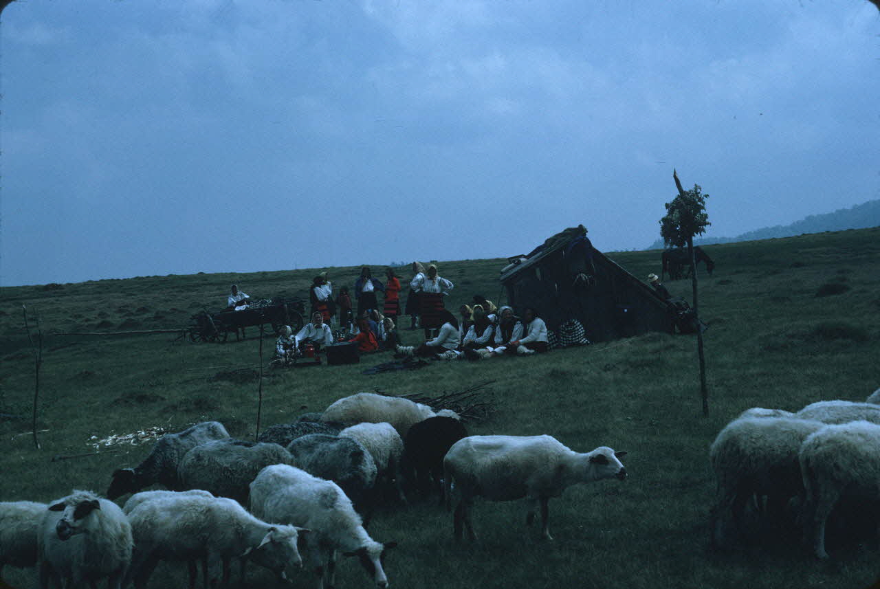 Jean Cuisenier photographie Enquête conduite par Jean Cuisenier en Roumanie (mai 1973) Roumanie 1973/5/1 Ph.1974.129.98 Photo