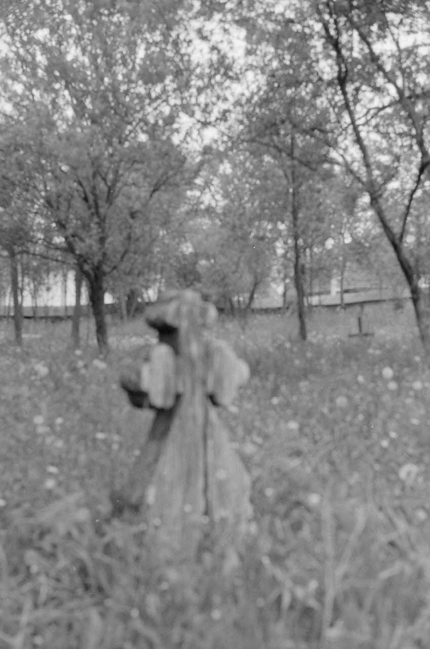 Jean Cuisenier photographie Enquête conduite par Jean Cuisenier en Roumanie (mai 1973) Roumanie 1973/5/1 Ph.1974.3.175  Photo