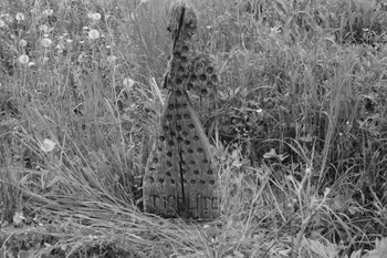 Jean Cuisenier photographie Enquête conduite par Jean Cuisenier en Roumanie (mai 1973) Roumanie 1973/5/1 Ph.1974.3.185  Photo