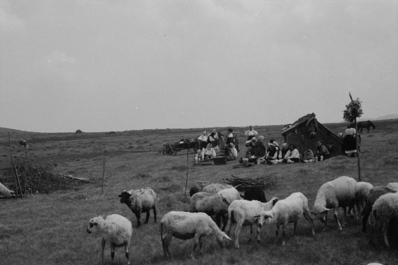 Jean Cuisenier photographie Enquête conduite par Jean Cuisenier en Roumanie (mai 1973) Roumanie 1973/5/1 Ph.1974.3.64 Photo