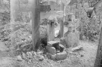 Jean Cuisenier photographie Enquête conduite par Jean Cuisenier en Roumanie (septembre 1975) Olténie, Roumanie 1975/9/1 Ph.1976.148.1 Photo