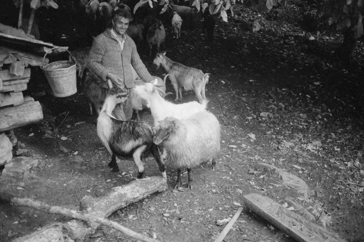 Jean Cuisenier photographie Enquête conduite par Jean Cuisenier en Roumanie (septembre 1975) Olténie, Roumanie 1975/9/1 Ph.1976.148.170 Photo