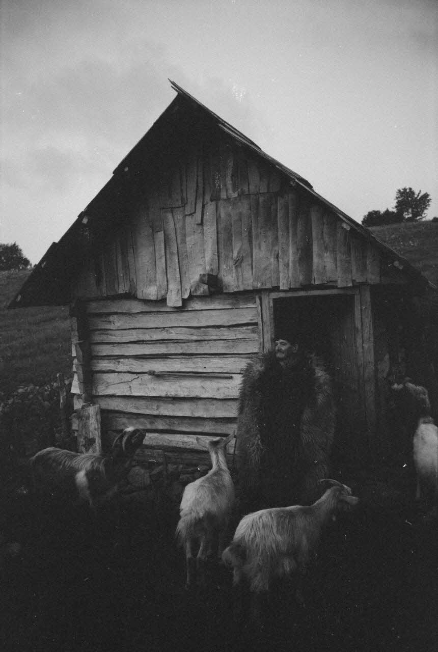 Jean Cuisenier photographie Enquête conduite par Jean Cuisenier en Roumanie (septembre 1975) Olténie, Roumanie 1975/9/1 Ph.1976.148.180 Photo