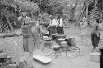 Jean Cuisenier photographie Enquête conduite par Jean Cuisenier en Roumanie (septembre 1975) Olténie, Roumanie 1975/9/1 Ph.1976.148.197 Photo