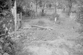 Jean Cuisenier photographie Enquête conduite par Jean Cuisenier en Roumanie (septembre 1975) Olténie, Roumanie 1975/9/1 Ph.1976.148.3 Photo