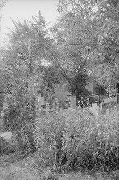 Jean Cuisenier photographie Enquête conduite par Jean Cuisenier en Roumanie (septembre 1975) Olténie, Roumanie 1975/9/1 Ph.1976.148.7 Photo