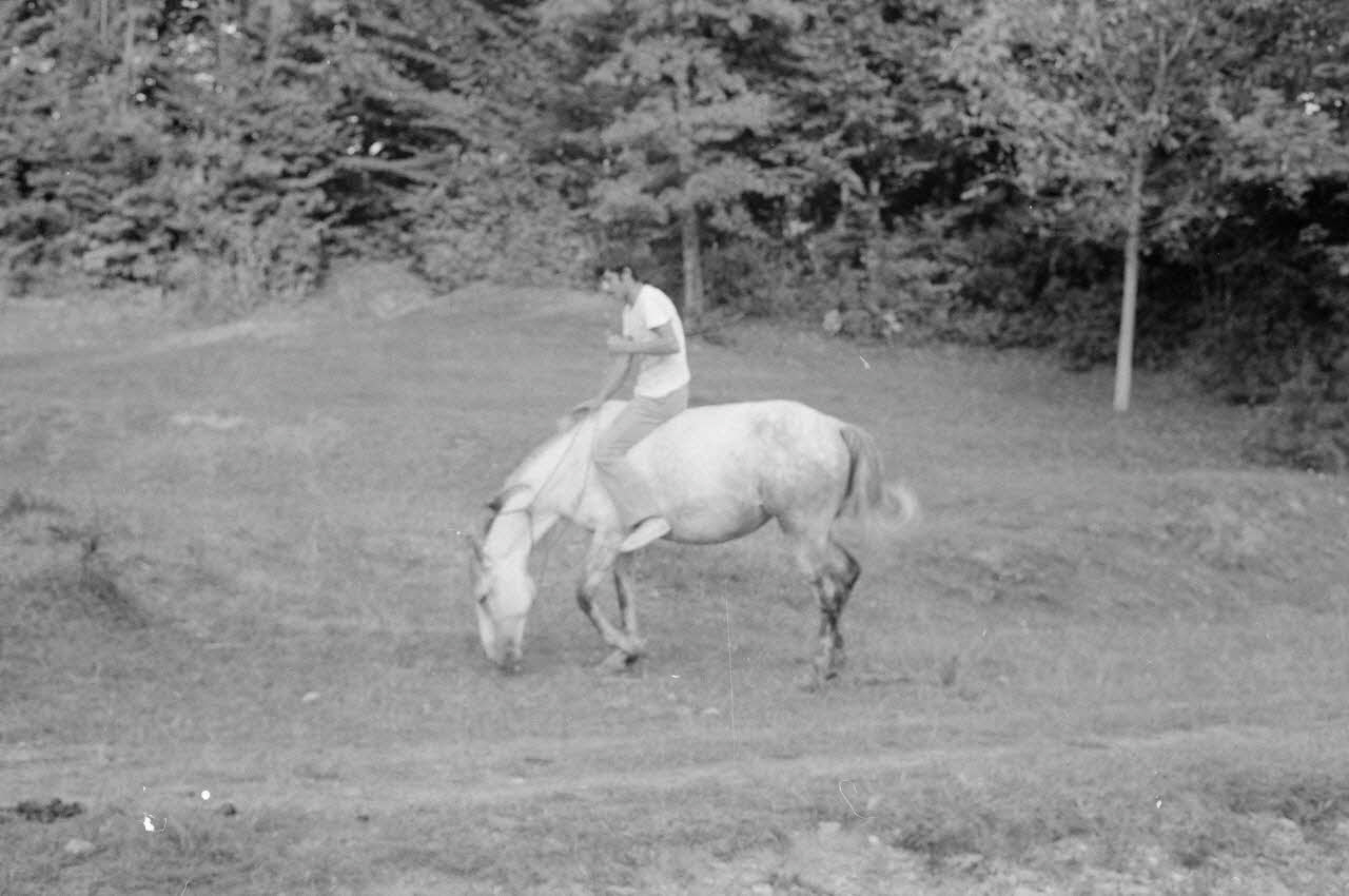 Jean Cuisenier photographie Enquête conduite par Jean Cuisenier en Roumanie (septembre 1975) Olténie, Roumanie 1975/9/1 Ph.1976.148.78  Photo