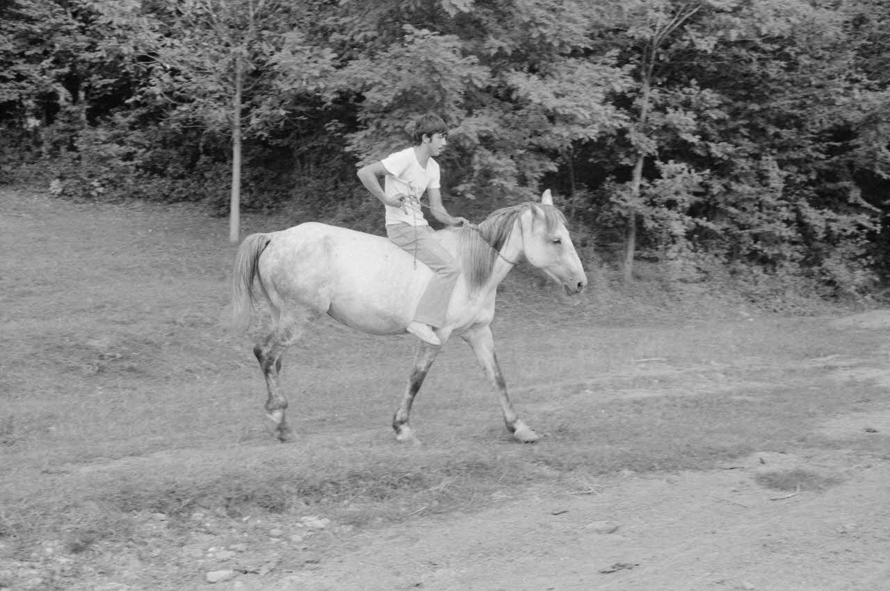 Jean Cuisenier photographie Enquête conduite par Jean Cuisenier en Roumanie (septembre 1975) Olténie, Roumanie 1975/9/1 Ph.1976.148.79  Photo