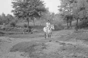 Jean Cuisenier photographie Enquête conduite par Jean Cuisenier en Roumanie (septembre 1975) Olténie, Roumanie 1975/9/1 Ph.1976.148.80  Photo