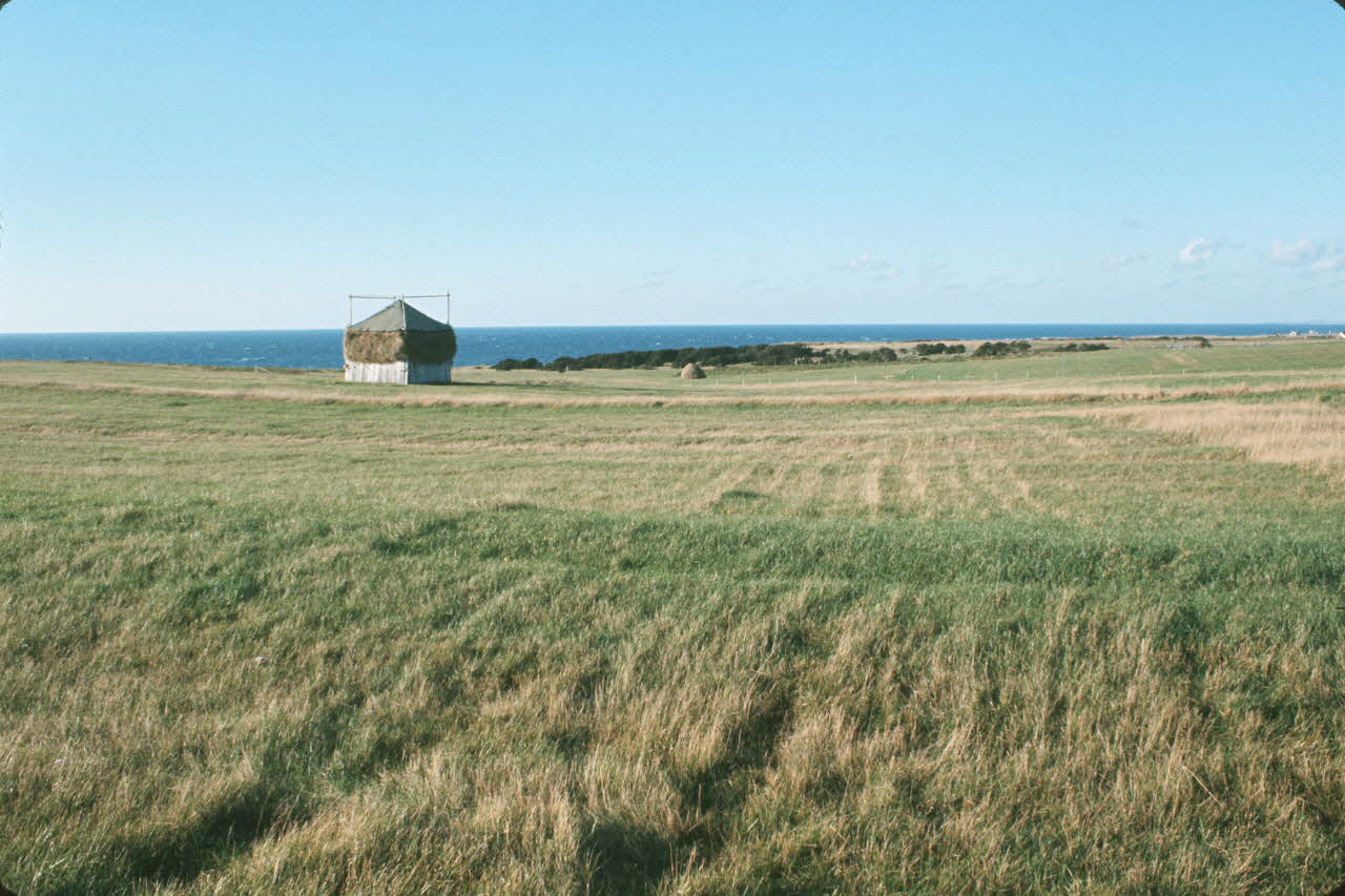 Jean Cuisenier photographie Enquête conduite par Jean Cuisenier au Québec (septembre 1976) Province du Québec, Canada 1976/9/1 Ph.1977.2.104 Photo