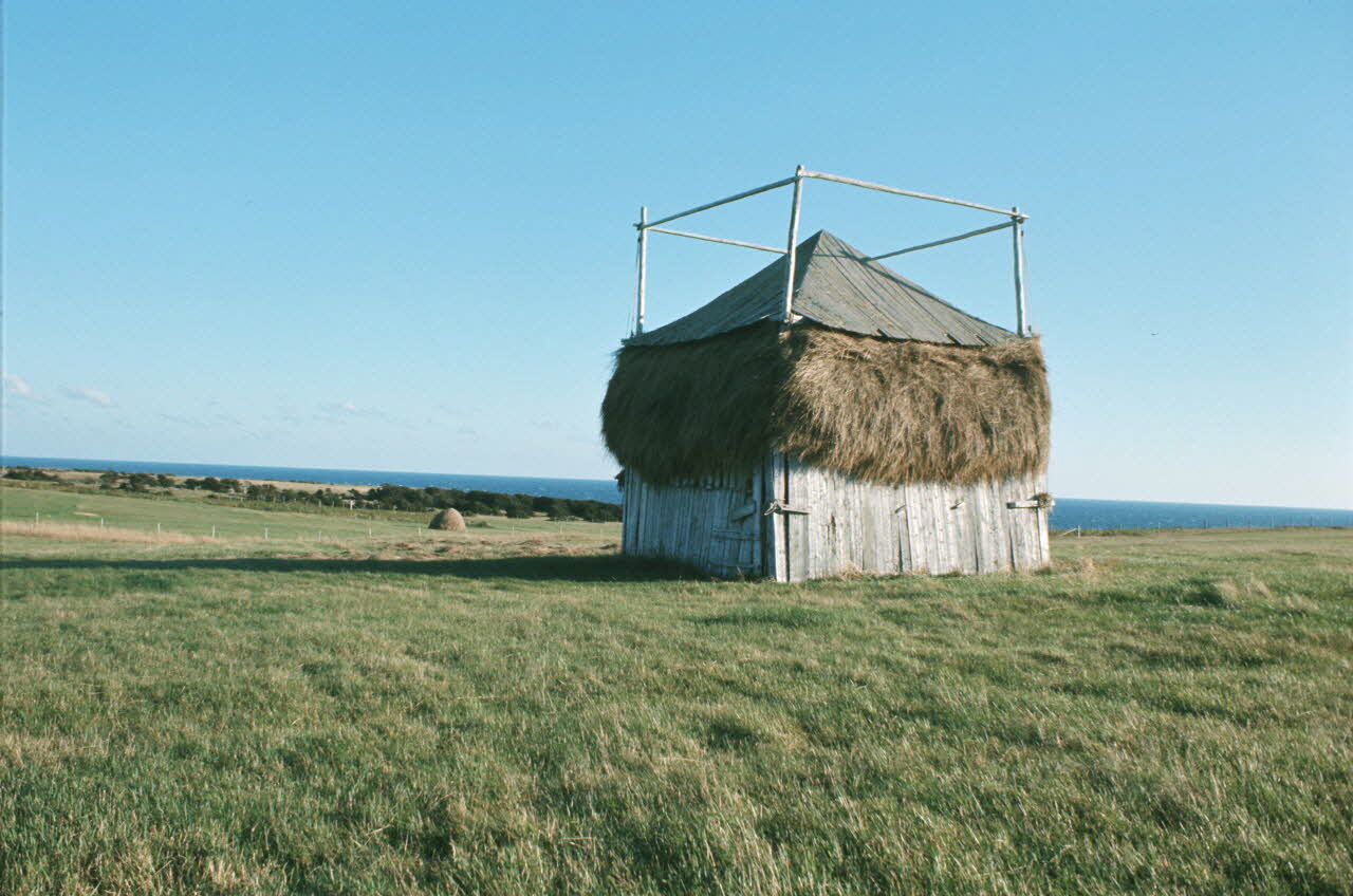 Jean Cuisenier photographie Enquête conduite par Jean Cuisenier au Québec (septembre 1976) Province du Québec, Canada 1976/9/1 Ph.1977.2.105 Photo