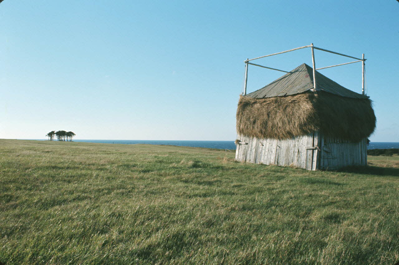Jean Cuisenier photographie Enquête conduite par Jean Cuisenier au Québec (septembre 1976) Province du Québec, Canada 1976/9/1 Ph.1977.2.106 Photo