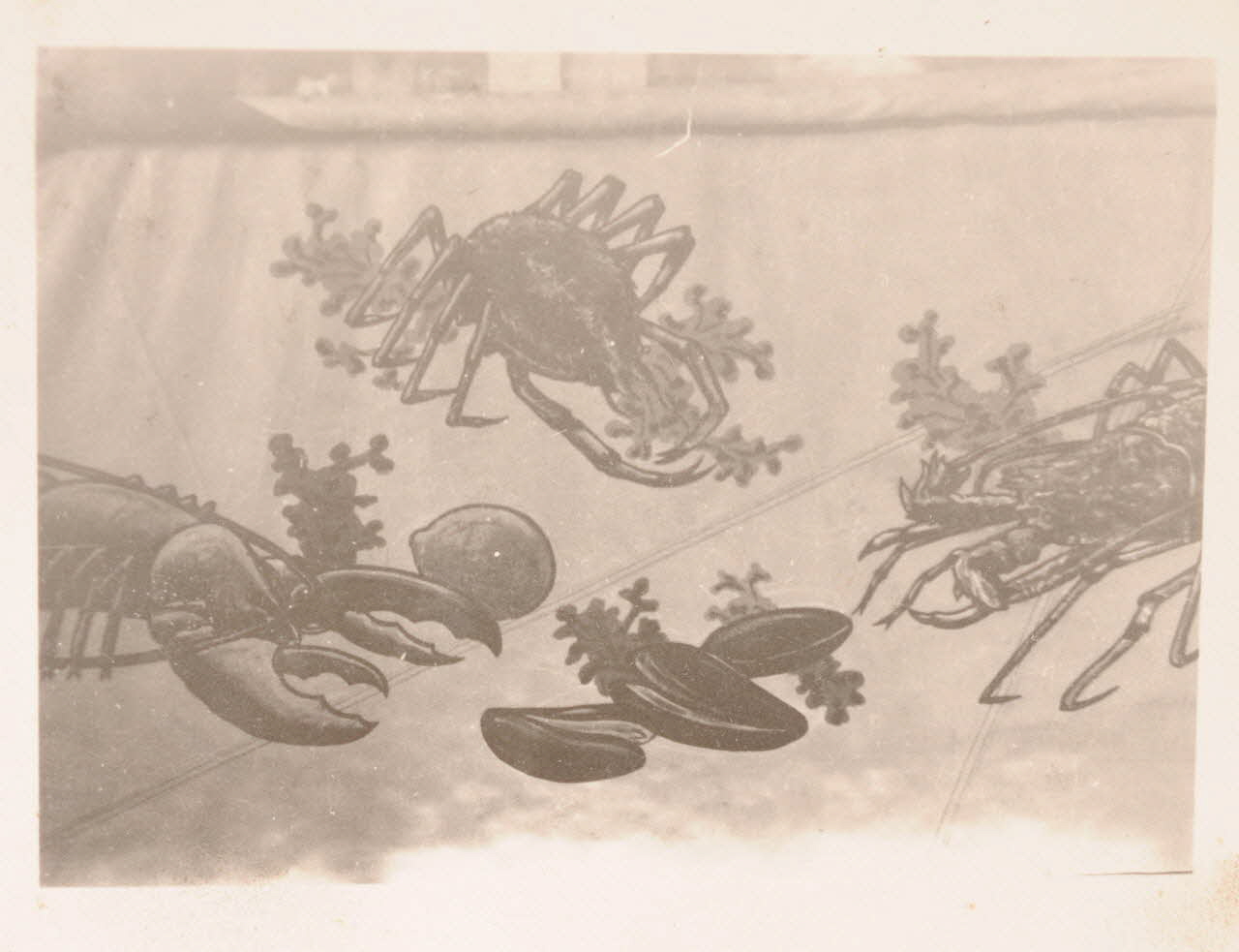 photographie Album Dailland Ph.1978.79.91 Photo