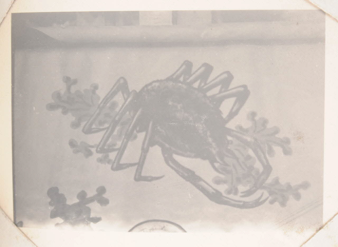 photographie Album Dailland Ph.1978.79.92 Photo