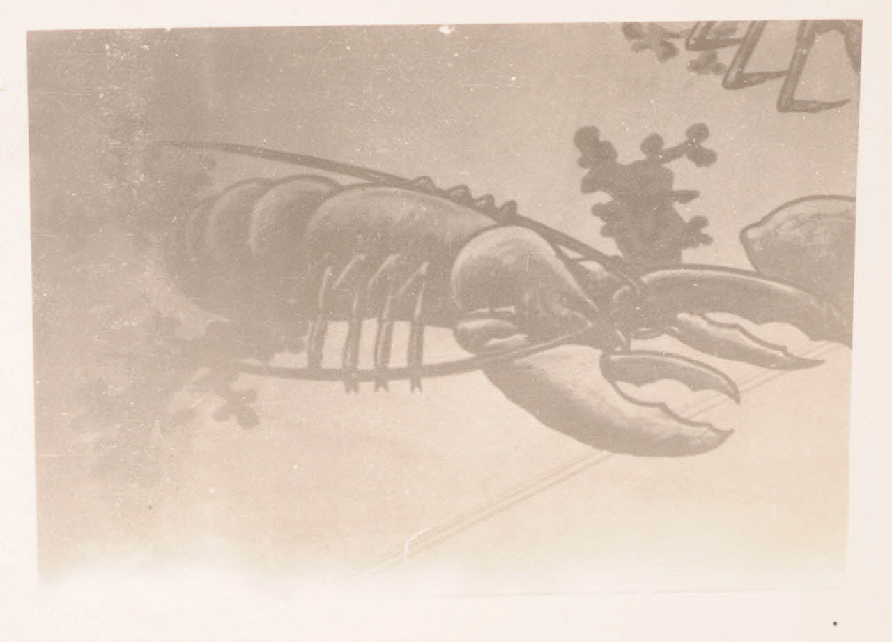 photographie Album Dailland Ph.1978.79.93 Photo