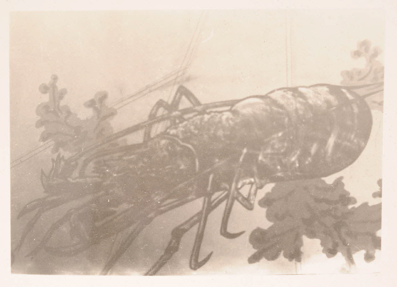 photographie Album Dailland Ph.1978.79.94 Photo