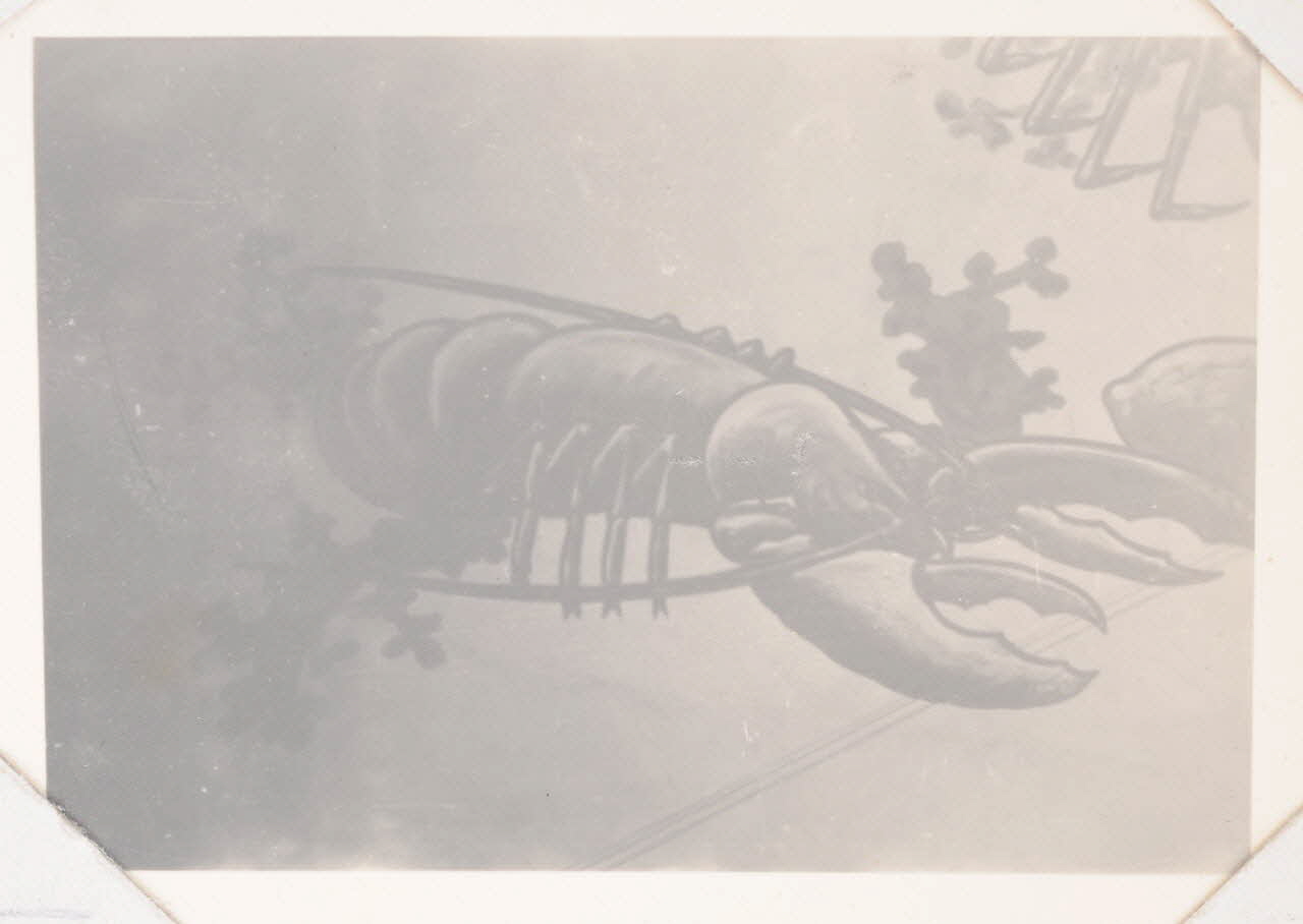 photographie Album Dailland Ph.1978.79.95 Photo