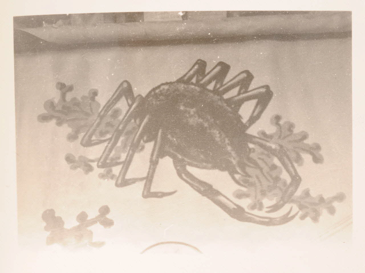 photographie Album Dailland Ph.1978.79.96 Photo