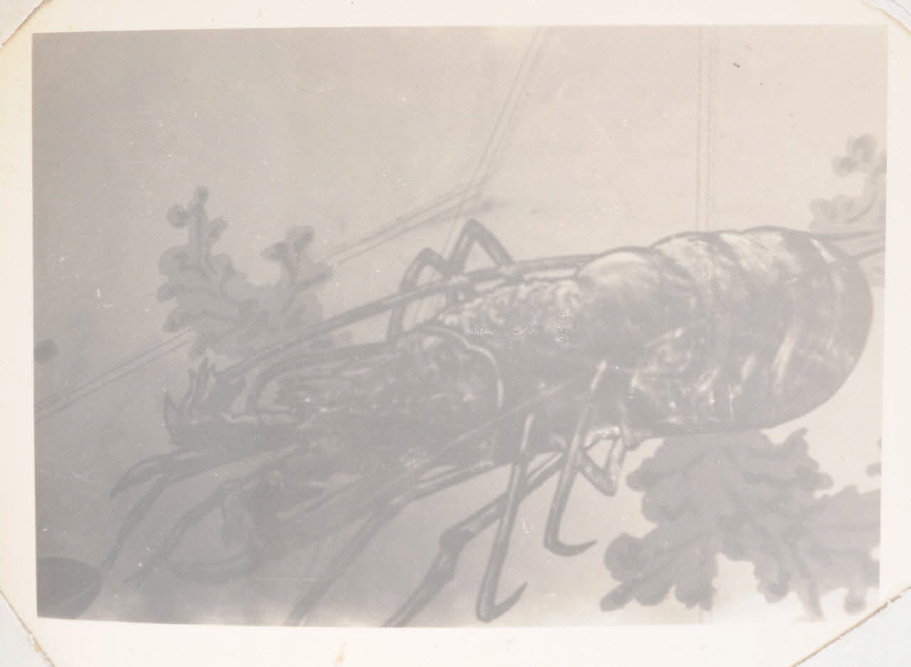 photographie Album Dailland Ph.1978.79.97 Photo