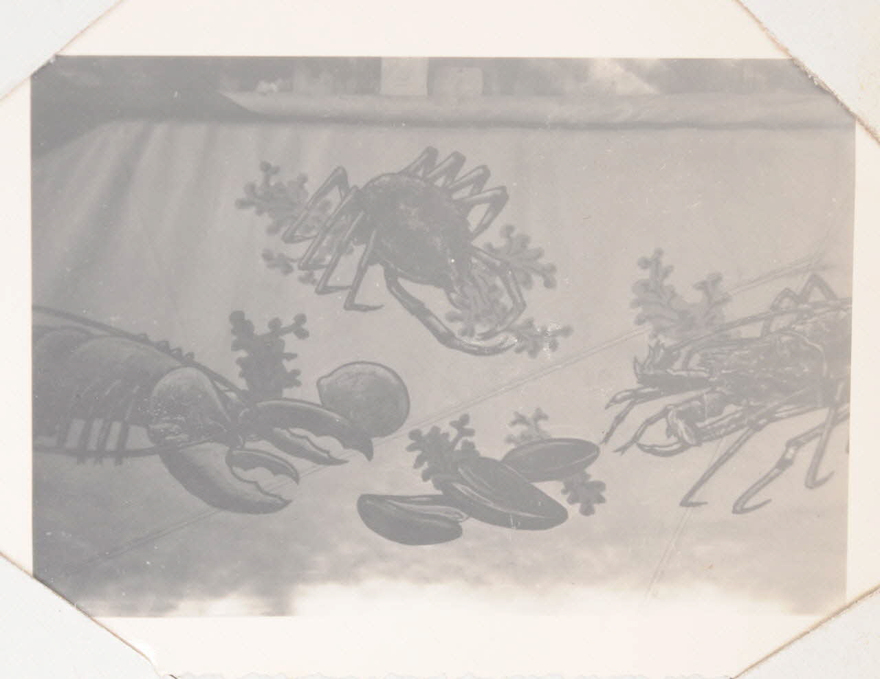 photographie Album Dailland Ph.1978.79.98 Photo