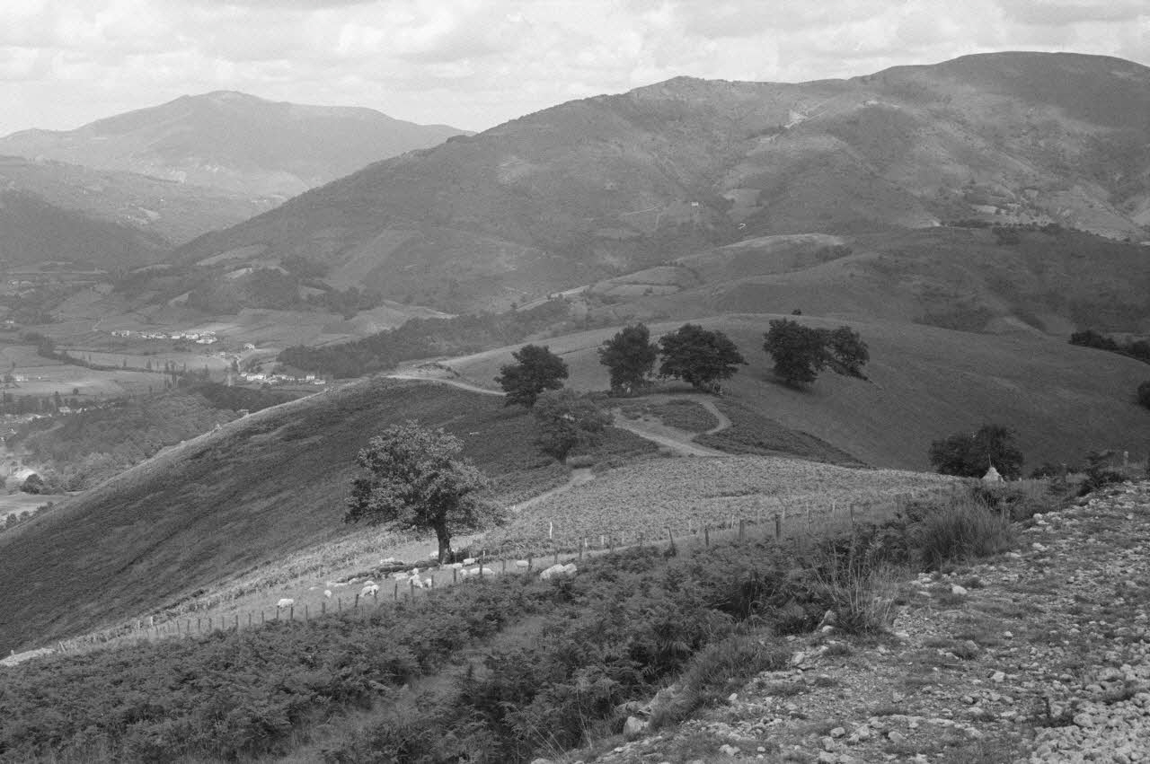 Jean Cuisenier ; P. Bidaud photographie MNATP. Chantier 1425. Enquête sur l'architecture rurale de la France (1968 - 1990) Aquitaine, France 1980/9/1 Ph.1982.329.8 Photo