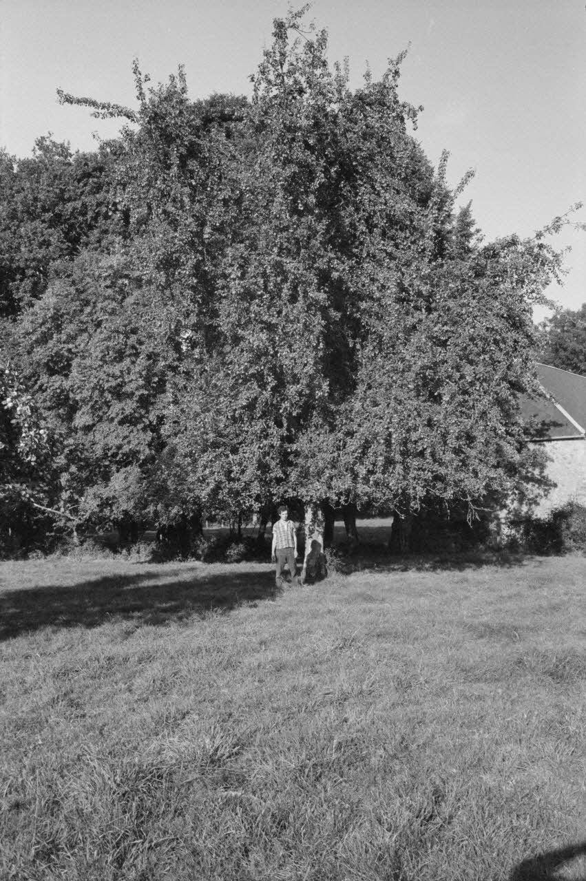 Jean Cuisenier photographie Enquête conduite par Jean Cuisenier en Basse-Normandie (14 mai 1979) Basse-Normandie, France 1979/5/14 Ph.1982.34.11 Photo