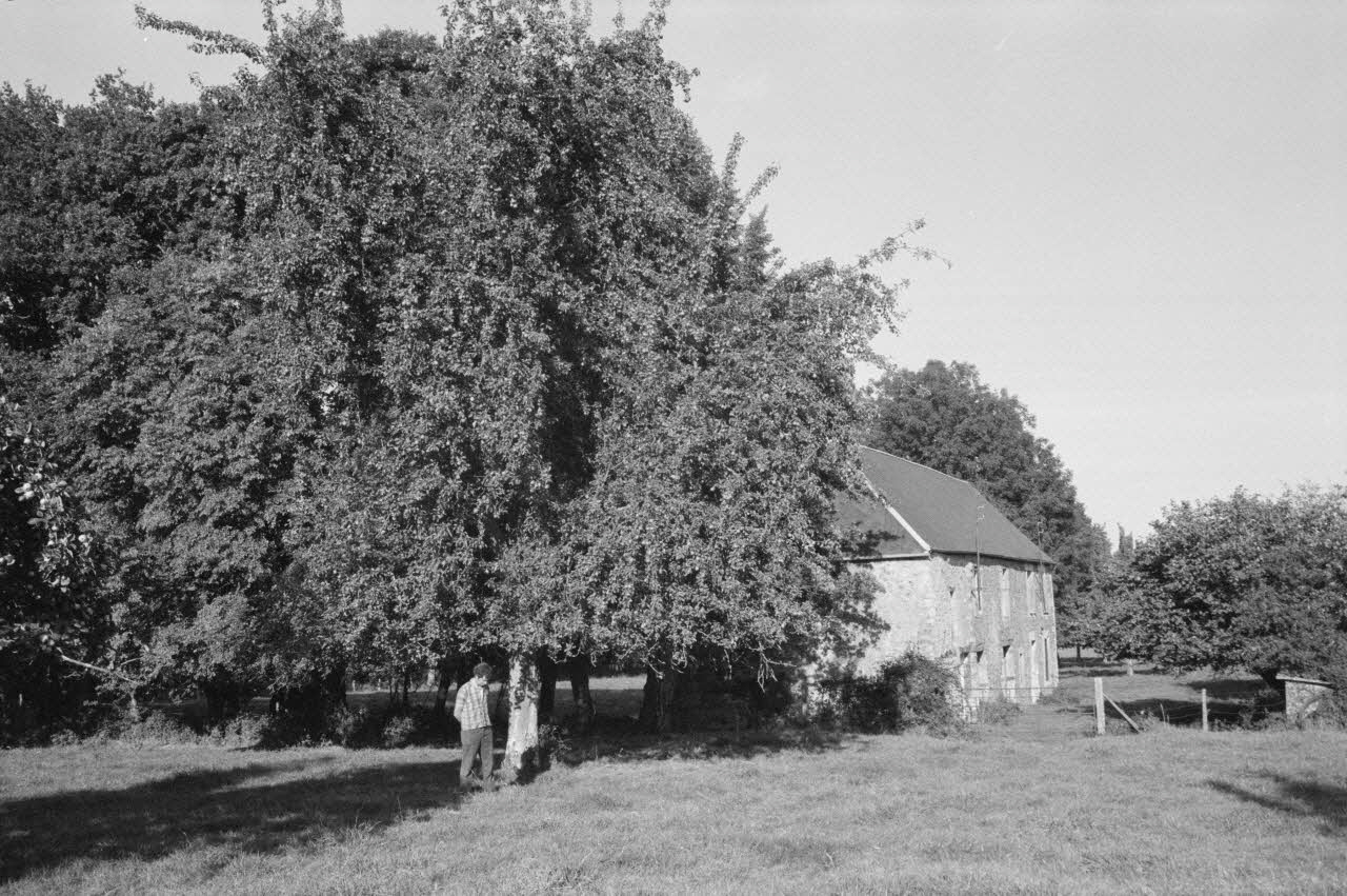 Jean Cuisenier photographie Enquête conduite par Jean Cuisenier en Basse-Normandie (14 mai 1979) Basse-Normandie, France 1979/5/14 Ph.1982.34.13 Photo