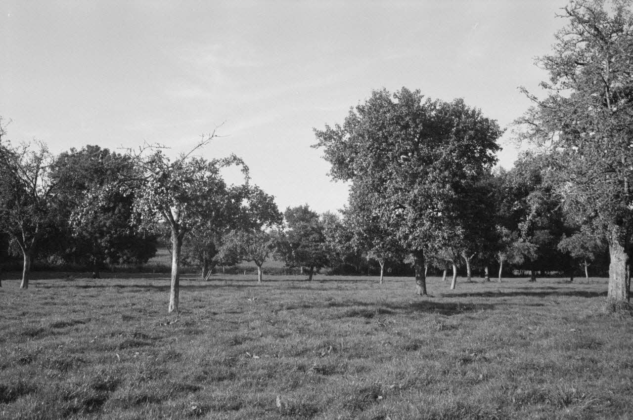 Jean Cuisenier photographie Enquête conduite par Jean Cuisenier en Basse-Normandie (14 mai 1979) Basse-Normandie, France 1979/5/14 Ph.1982.34.5 Photo
