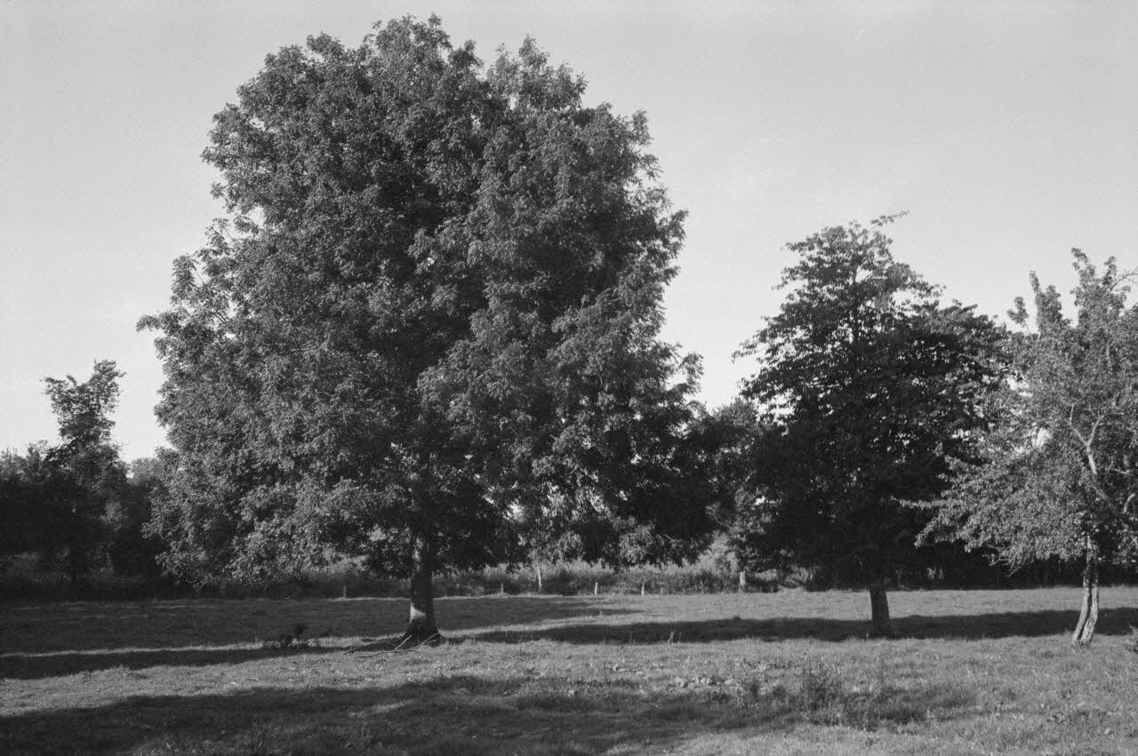 Jean Cuisenier photographie Enquête conduite par Jean Cuisenier en Basse-Normandie (14 mai 1979) Basse-Normandie, France 1979/5/14 Ph.1982.34.6 Photo
